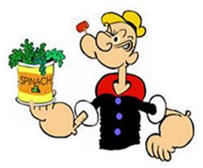 Popeye loves spinach and so do we